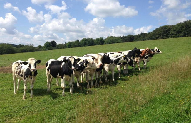 Group Stay in Ulmen-furth - Foto 19