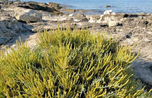 Casa Plemmirio Varco 22 - Foto 13