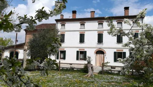 Agriturismo Loghino Sabbioni - Foto 2, Garden