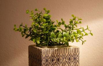 Casa Abraao by AL Belmonte - Foto 17