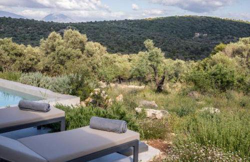Mesogi Villas, brand new modern, stylish villas, private pool, seaviews - Photo 70