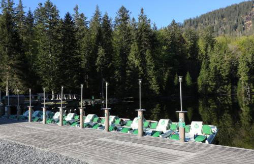 Ferienwohnungen Ludwigsthal - Foto 24