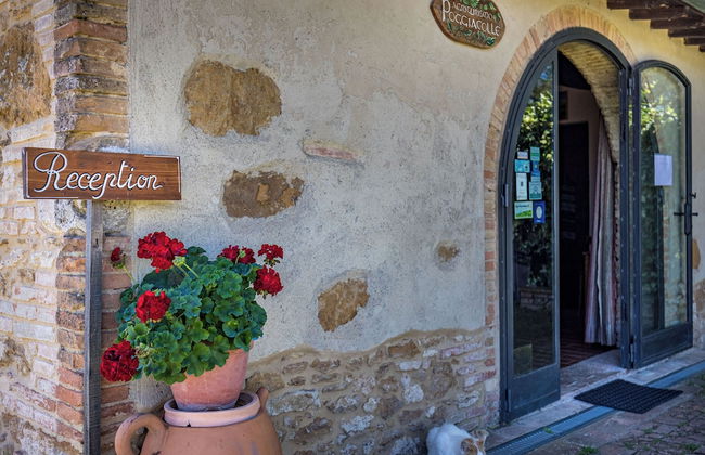 Agriturismo Poggiacolle - Foto 2