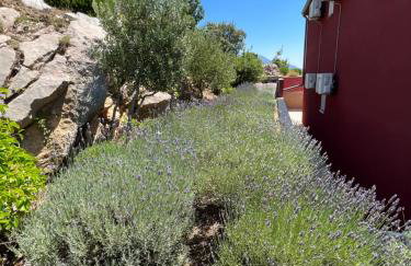 Apartments Angela - Foto 13