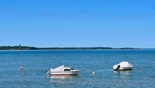 Beste Stuuv - Foto 5