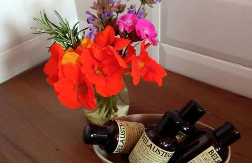 Belaustegi turismo rural - Foto 77