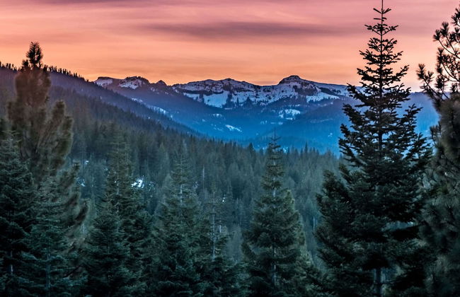 Paradise Pines 3BR Secluded Cabin Minutes in Tahoe Donner! - Foto 17