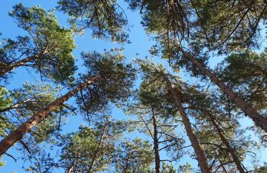 Domki Przy Tężni - Foto 41