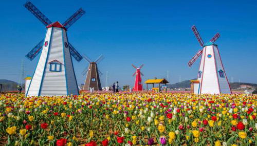 Modern 2BR 2BA New Build Condo with Garage & Patio - Foto 4