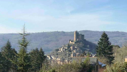 La Contie, bol d'air et de nature - Photo 4