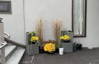 California guest house - Foto 2