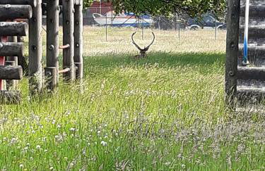 Nevis Pod, West Highland Way Holidays - Foto 4