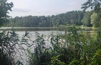 Seeidyll - Foto 3