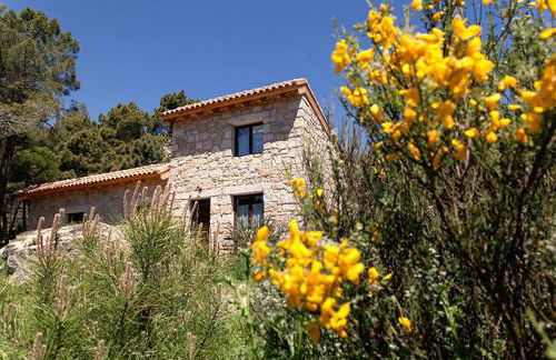 Huerto San Antonio - Foto 144