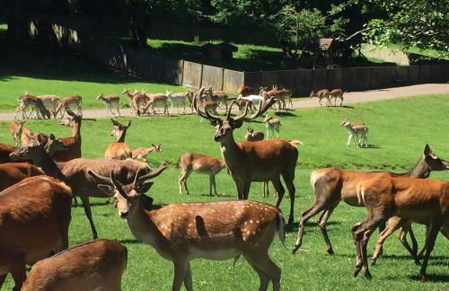 Vakantiewoning Duitsland - Foto 46