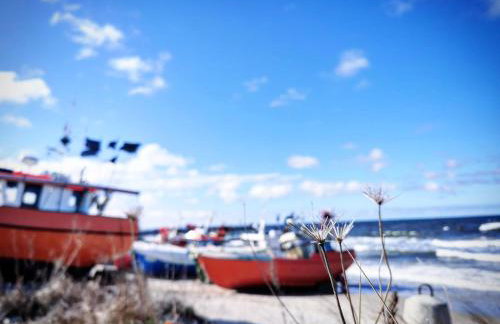 Czarne Domki Resort - Photo 25