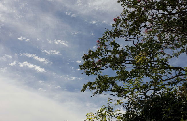 Moon's Cafe - Foto 21