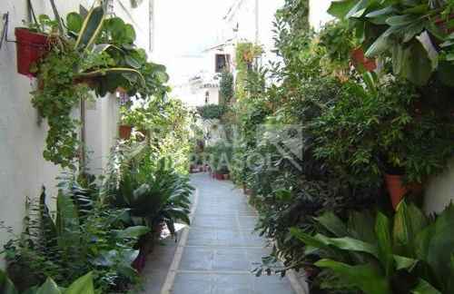 Precioso apartamento cerca de Sierra Nevada - Foto 17