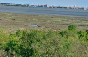 ## Punto FM## - Photo 13