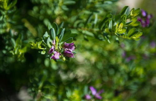 Apartments Thekla - Foto 41