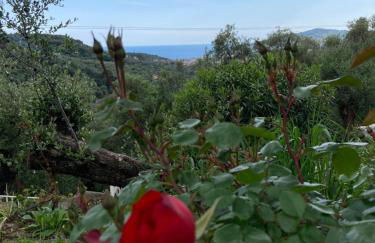 Casa Belvedere - Foto 71