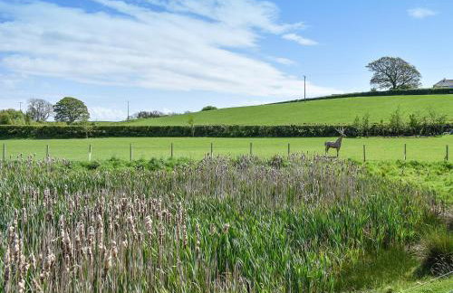 Birch Lodge - Uk30006 - Foto 28