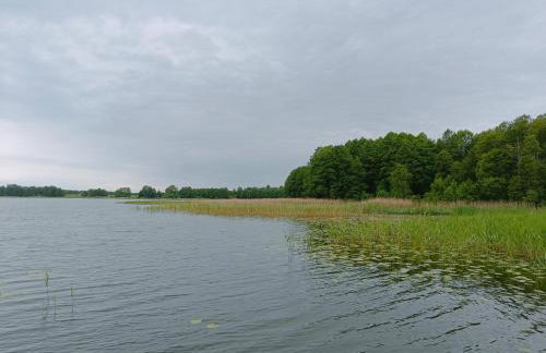 Domek Pszczelarza - Foto 9