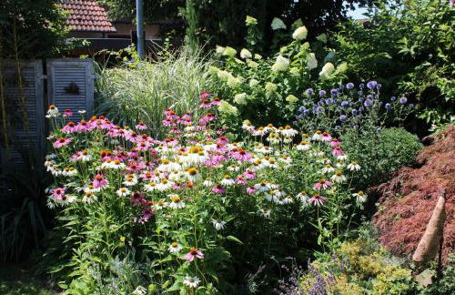 Apartment im Garten - Foto 10