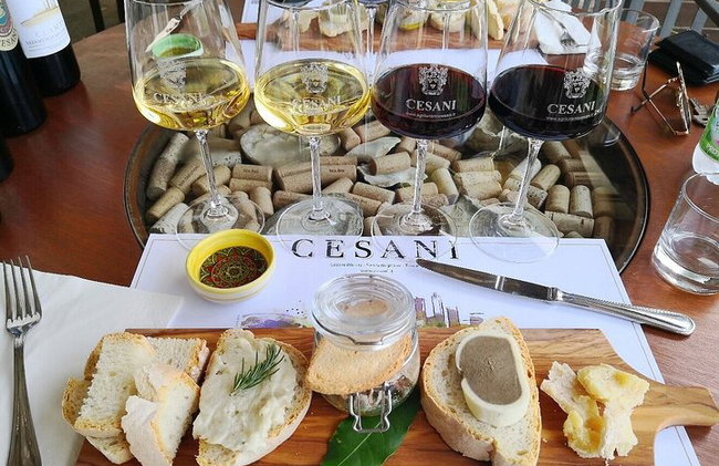 Cata de vinos "Gourmet" en Cesani's - Foto 13