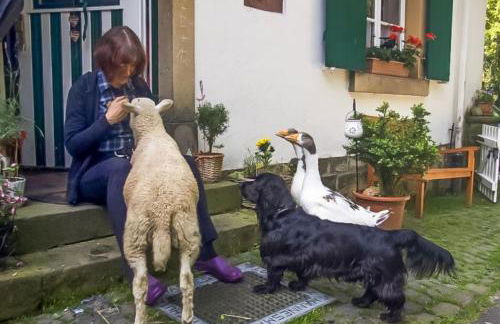 Altes Forstamt im Teutoburger Wald-Fewo Hofgarten - Foto 51