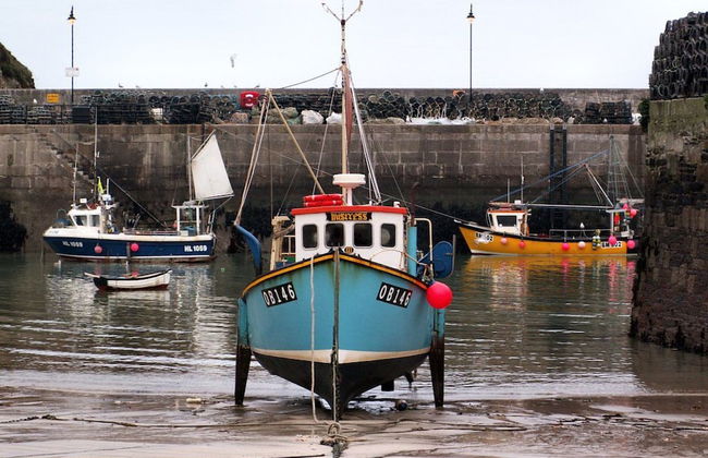 Harrington Flats - Foto 19