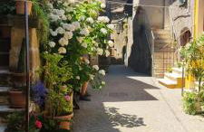 LA CHASCONA DI FARNESE casa di tufo nel borgo - Foto 48