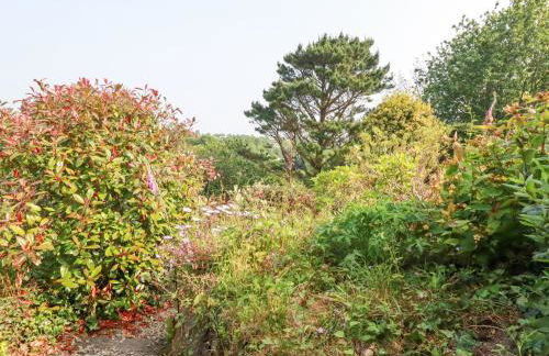 Trenant View - Foto 34