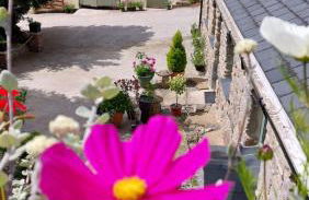 Wesley House Holidays - Choice of 2 Quirky Cottages in 4 private acres - Foto 72