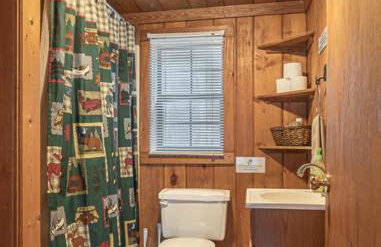 Mountain View Cabins - Foto 13