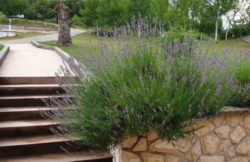 House Roza - Foto 13