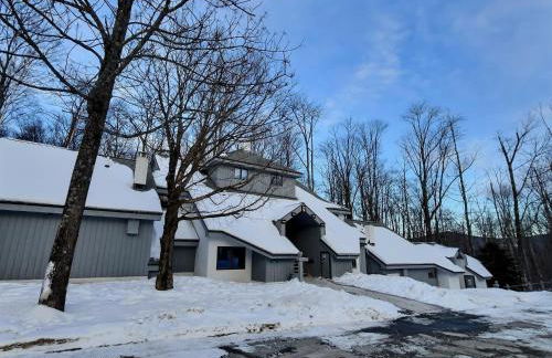 FirBear- AC, Pool, Hot Tub, Sauna, Tennis, Gym - Foto 25