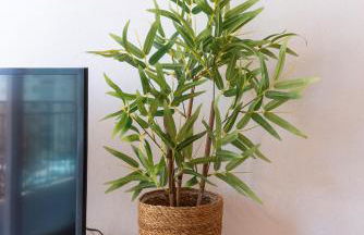 Apartamento Santa Marta 5 Málaga - Photo 42