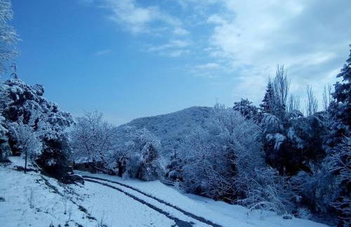 Mas Pardas - Photo 60