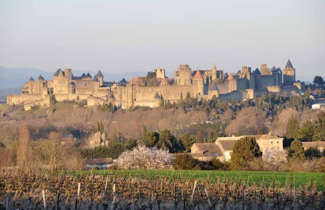 Château de Cavanac - Foto 18