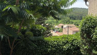 studio en provence verte - Foto 4, Garden, Garden view