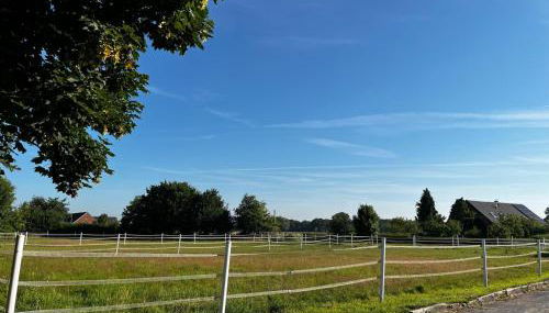 Reitsportzentrum Lichtenholz - Foto 4, Garden