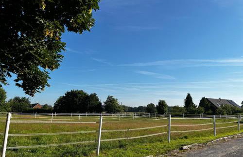 Reitsportzentrum Lichtenholz - Photo 4