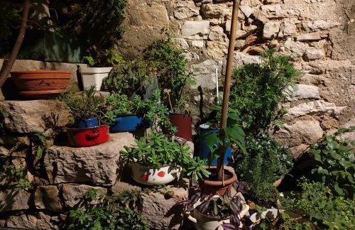 Apartman studio Otium - Photo 42