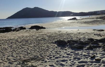 Casa de Canteiro Louro - Muros - Foto 28