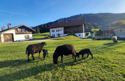 Bauernhaus Jocher - Foto 22