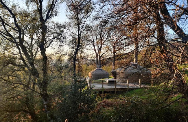 Charming Yurt in Kelburn Estate Near Largs - Photo 25