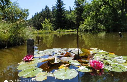 Re(s)source - Foto 11