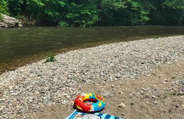 T2 avec piscine-Le family 67 - Photo 30