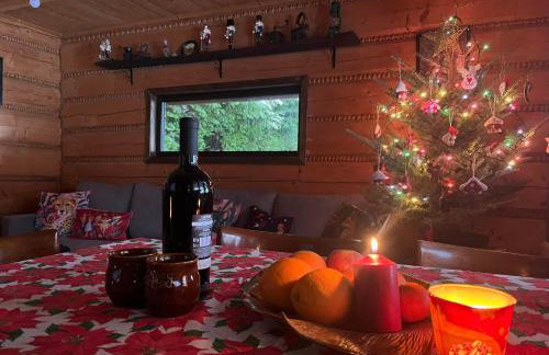 Chata pod lasem z balią i sauną - Foto 24